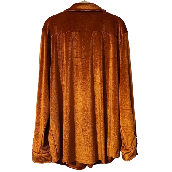 2 Fly Velvedeer Spice Button Down Top - Picture 3 of 6